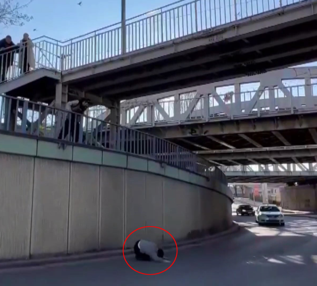 He fell while trying to pass under the overpass for the sake of the video and broke both of his legs