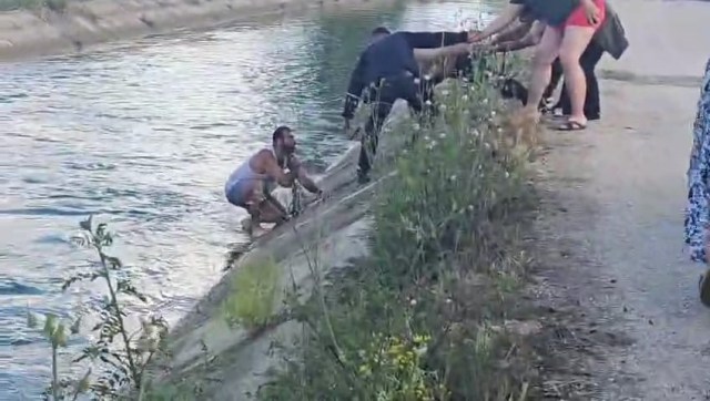 The young man who fell into the irrigation canal threatened those who came to rescue him