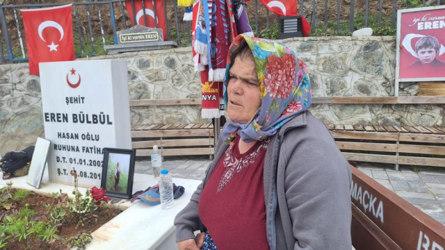 Ayşe Bülbül, the mother of Eren Bülbül, evaluated the PKK's disarmament
