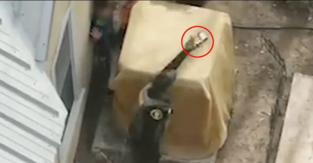 Police opened fire on two siblings aged 7 and 9 who refused to drop their guns