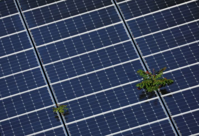 Dangerous move from China: Hidden 'Kill Switch' placed in solar panels sold to the West
