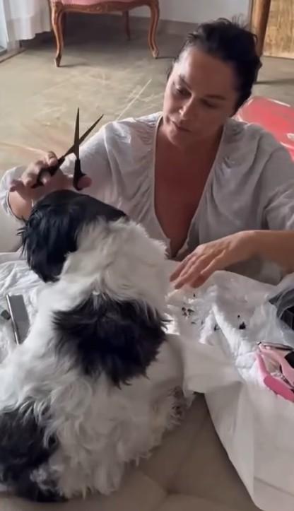 Hülya Avşar shared moments of grooming her dog