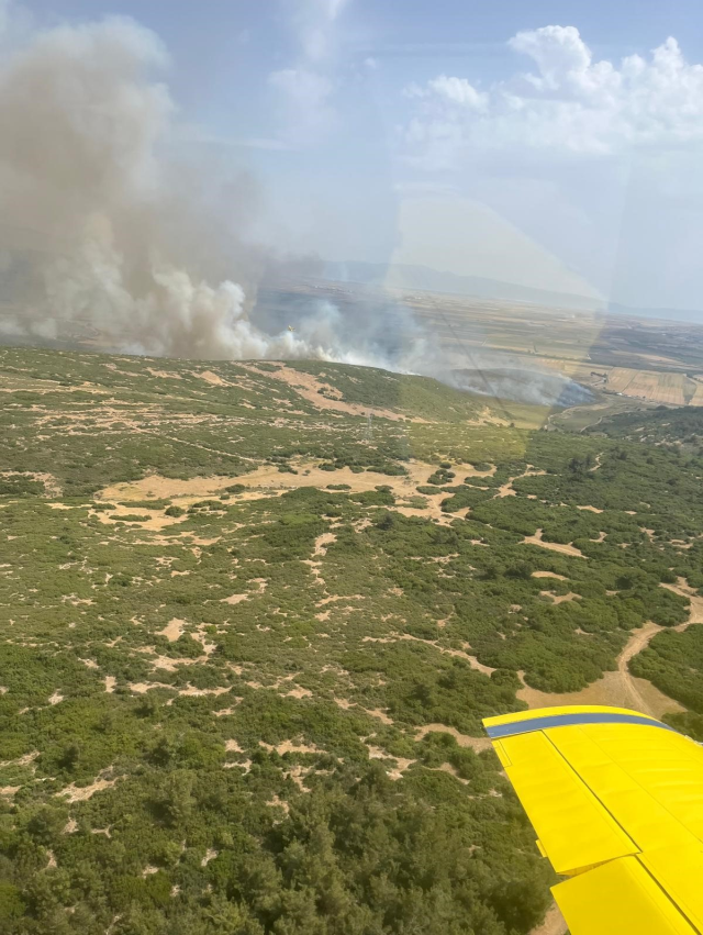The fire that broke out in agricultural land in Foça has spread to the forest! The fight against the flames continues