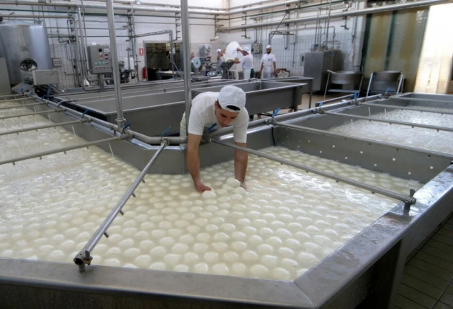 70-year-old food giant filed for concordat