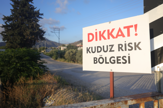 Rabies case in 4 neighborhoods of Hatay, citizens are anxious while going out