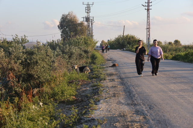 Rabies case in 4 neighborhoods of Hatay, citizens are anxious while going out