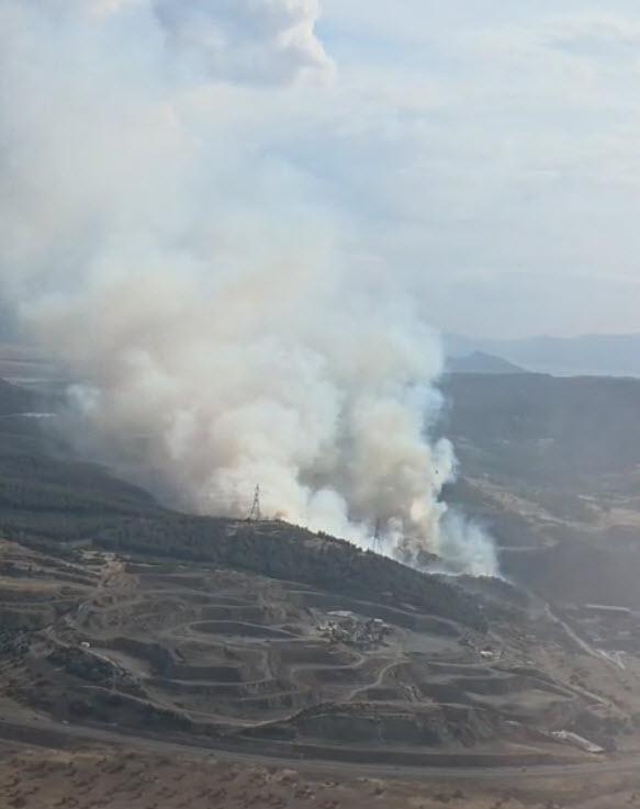 Forest fire in İzmir Aliağa! Intervention to the flames continues