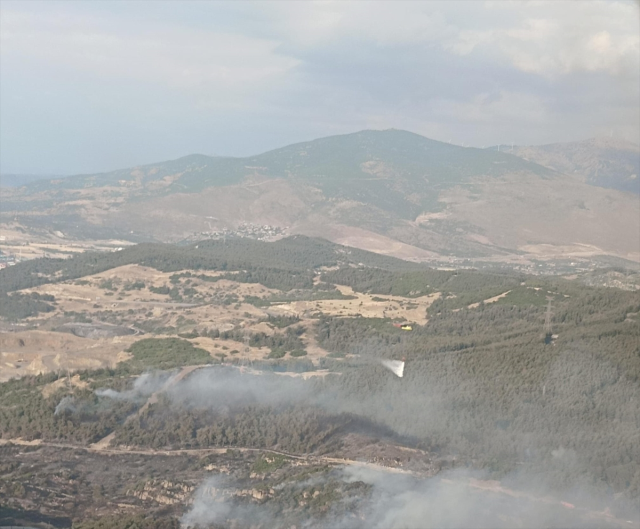 Forest fire in İzmir Aliağa! Intervention to the flames continues
