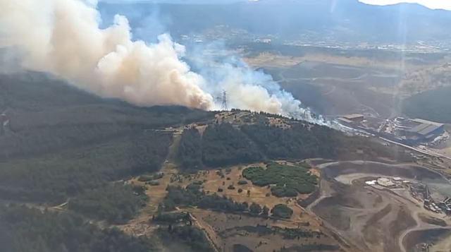 Forest fire in İzmir Aliağa! Intervention to the flames continues