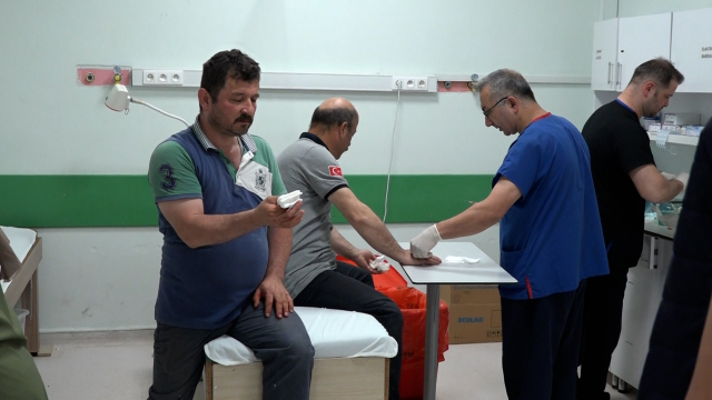 Emergency services were filled with inexperienced butchers