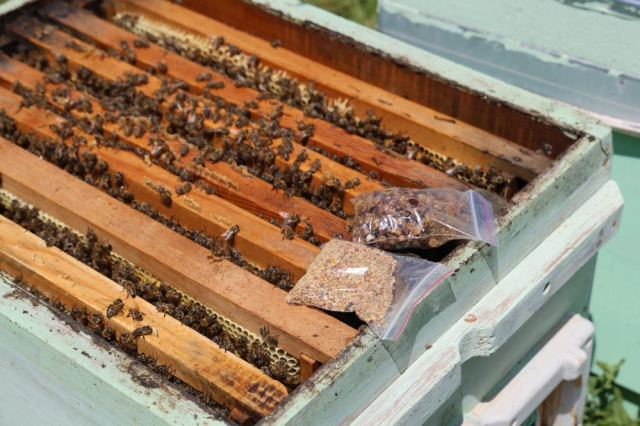 It was thrown away in the past, now it is sold for 3,000 TL per kilogram