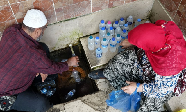They drink from bottles, but the expert warned: It may pose health risks