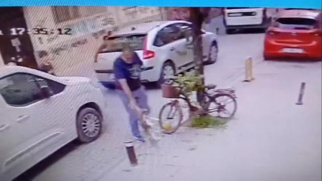 Threw the dog to the ground and squeezed its throat; those moments were captured on camera