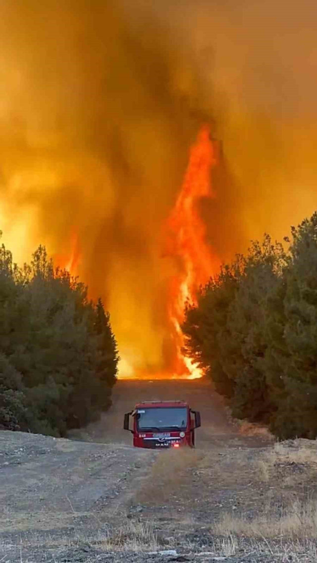 The forest team trapped among the flames was rescued at the last moment