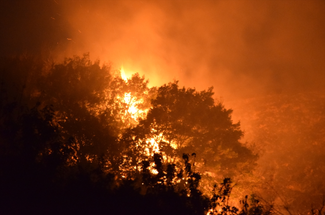 Burned the pillow he saw a tick on and threw it into the garden, an area the size of 17 football fields was turned to ash