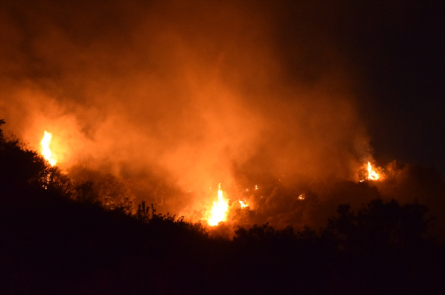 Burned the pillow he saw a tick on and threw it into the garden, an area the size of 17 football fields was turned to ash