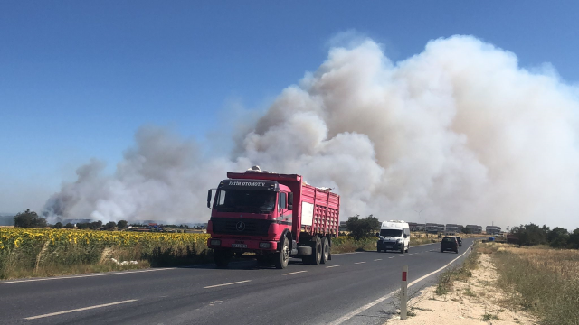 Forest fire in Silivri! Intervention to the flames continues