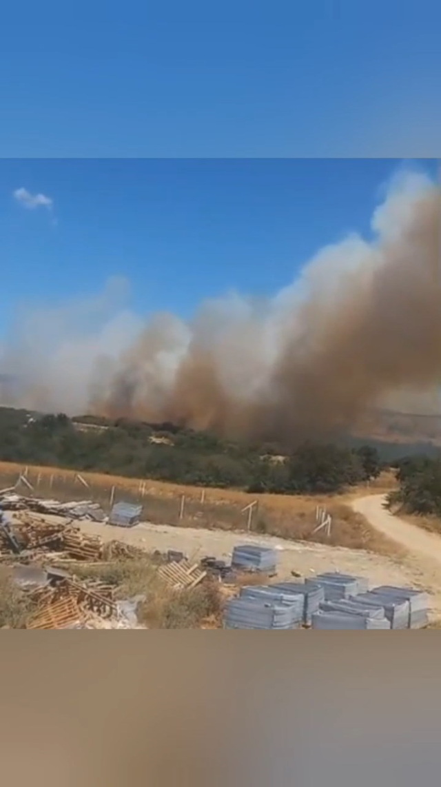Forest fire in Silivri! Intervention to the flames continues