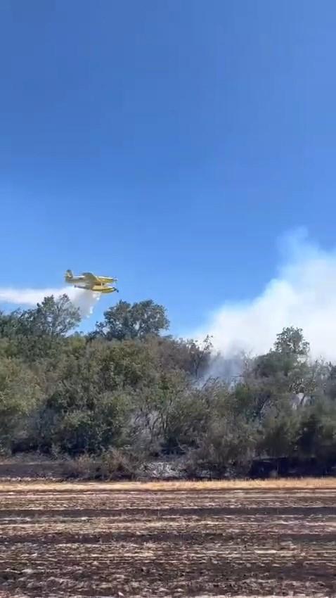 Forest fire in Silivri! Intervention to the flames continues
