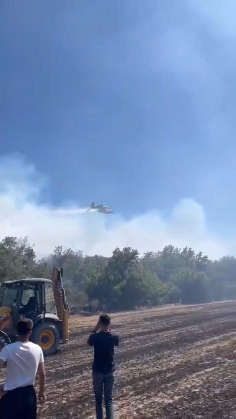 Forest fire in Silivri! Intervention to the flames continues