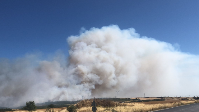 Forest fire in Silivri! Intervention to the flames continues
