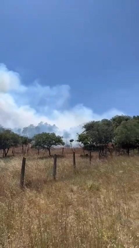 Forest fire in Silivri! Intervention to the flames continues