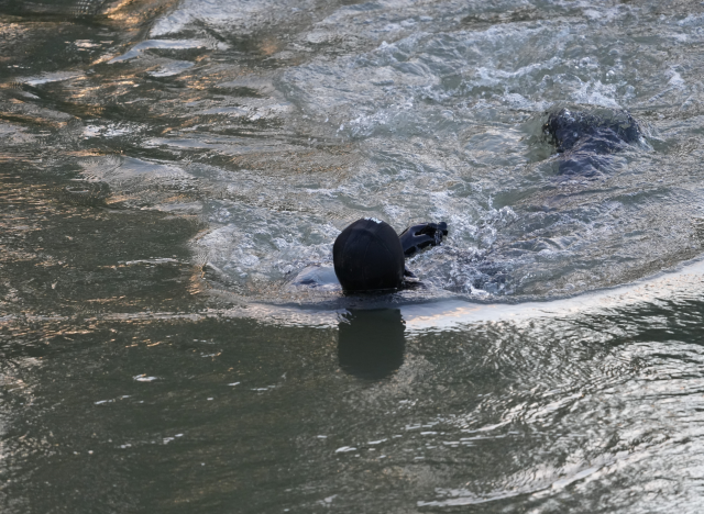 He challenged his friends and jumped from the bridge: Those moments were captured on camera