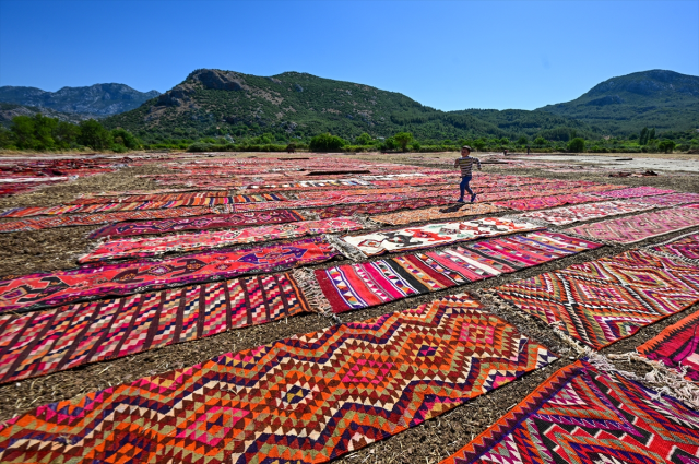 The scorching heat will cause the carpets laid in the fields to pastel more
