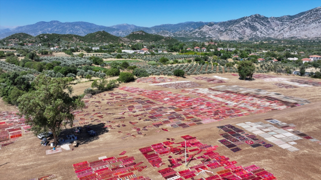 The scorching heat will cause the carpets laid in the fields to pastel more