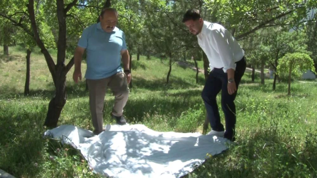 How to detect ticks? A tip from the professor with a light-colored cloth
