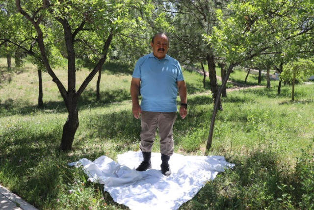 How to detect ticks? A tip from the professor with a light-colored cloth