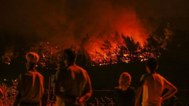 The wind intensified the fire! The famous person's business turned to ashes