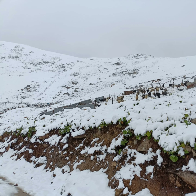 Heavy snow fell in our three provinces in July