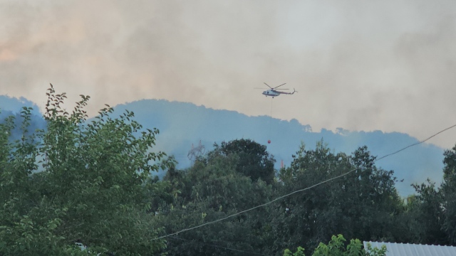 The forest fire in Hatay continues on the second day