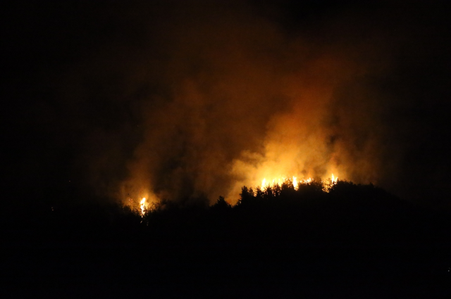 The forest fire in Hatay continues on the second day