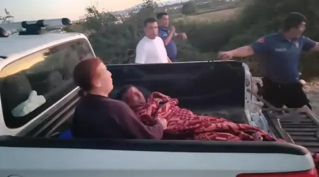 The district is on edge! The escaped lion injured a person and vanished