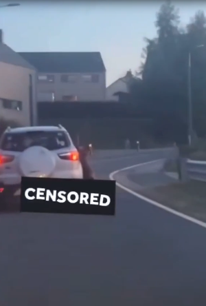 He dragged his dog with his car, and the house was set on fire by animal lovers