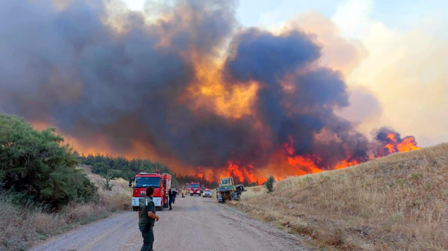 Forest fire in Tekirdağ: A neighborhood threatened by flames is being evacuated