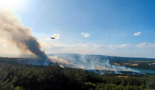 Forest fire in Tekirdağ: A neighborhood threatened by flames is being evacuated