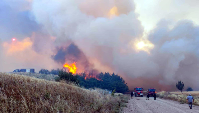 Forest fire in Tekirdağ: A neighborhood threatened by flames is being evacuated