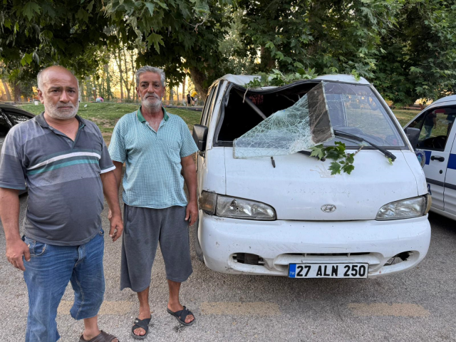 The broken tree branch injured 11 people from the same family