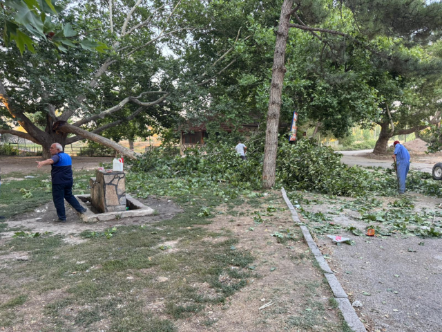 The broken tree branch injured 11 people from the same family