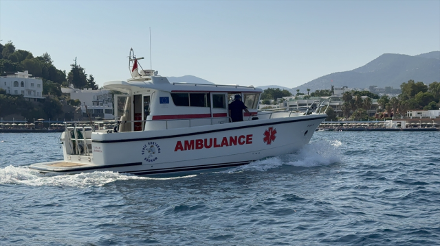 The journalist Hasan Cemal, who fell ill on Leros Island, was brought to Bodrum