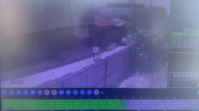 He was killed by a bullet fired from an air rifle while walking on the street