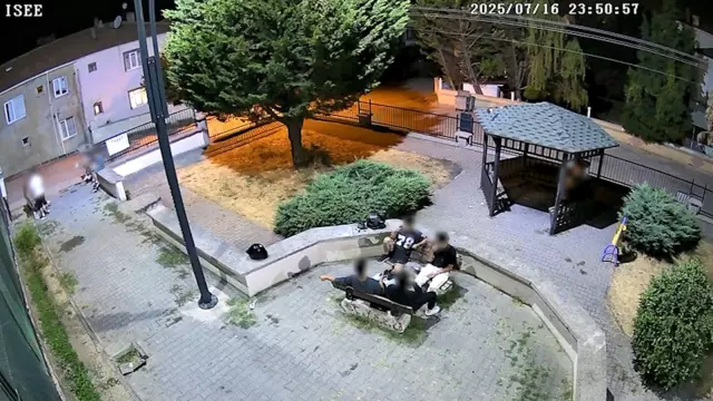 They collected the sunflower seed shells they threw on the ground under the supervision of the municipal police