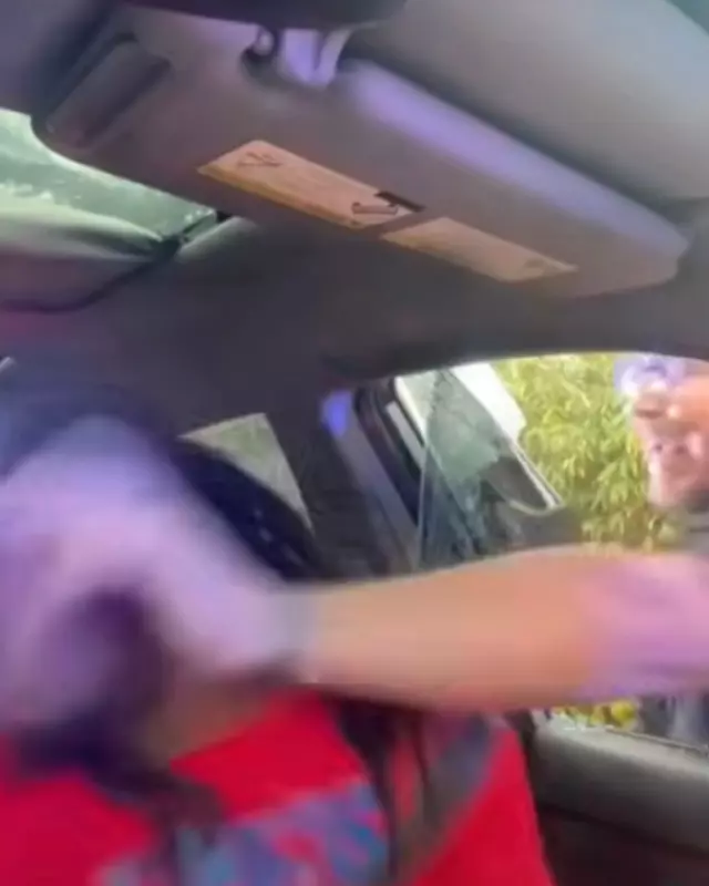 The police broke the car window and punched the driver for not having his headlights on