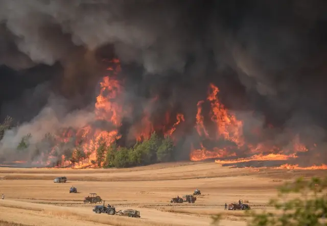 Forest fire in Sakarya and Bilecik: 4 evacuated