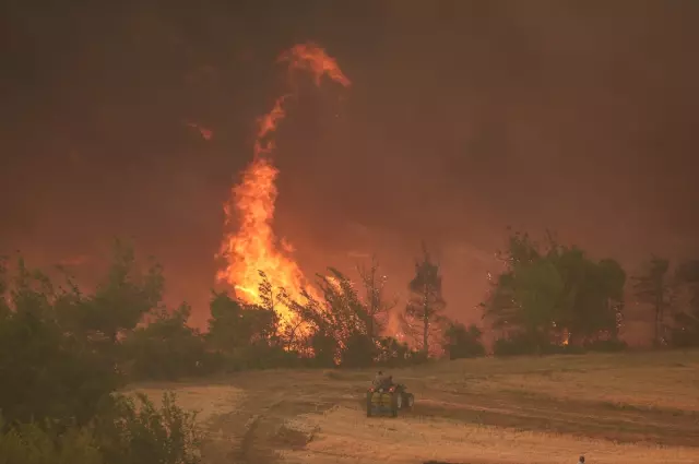 Forest fire in Sakarya and Bilecik: 4 evacuated