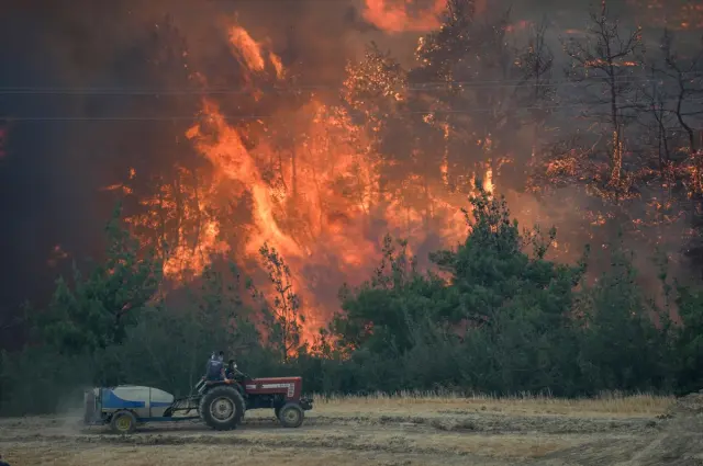 Forest fire in Sakarya and Bilecik: 4 evacuated