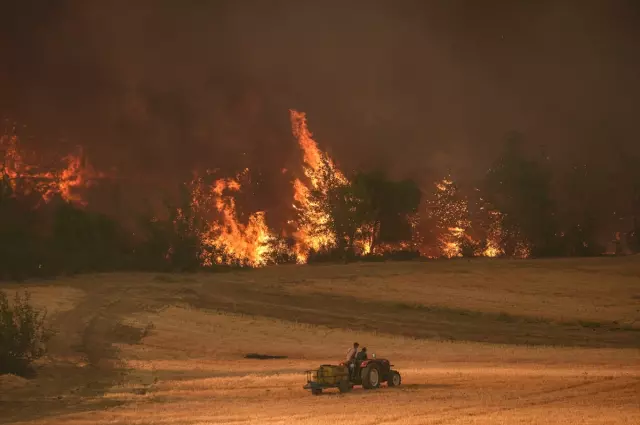 Forest fire in Sakarya and Bilecik: 4 evacuated